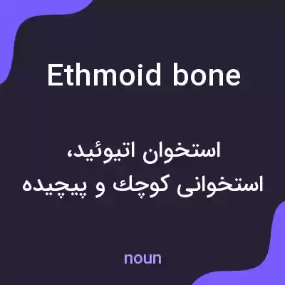 معنی ethmoid bone به فارسی