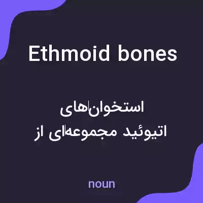 معنی ethmoid bones به فارسی معنی ethmoid bones به فارسی