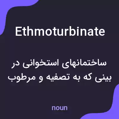 معنی ethmoturbinate به فارسی معنی ethmoturbinate به فارسی