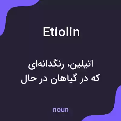 معنی etiolin به فارسی معنی etiolin به فارسی