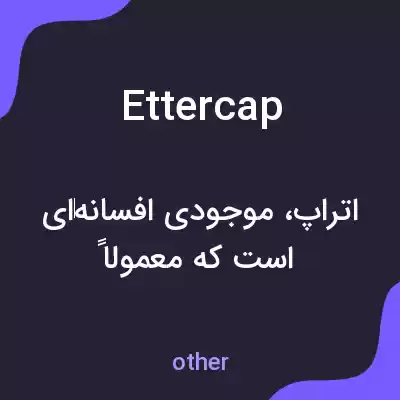 معنی ettercap به فارسی معنی ettercap به فارسی