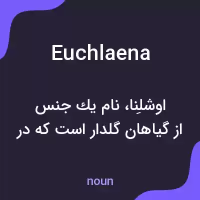 معنی euchlaena به فارسی معنی euchlaena به فارسی