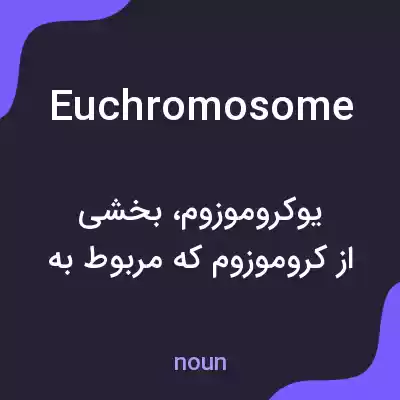 معنی euchromosome به فارسی معنی euchromosome به فارسی