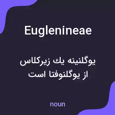 معنی euglenineae به فارسی معنی euglenineae به فارسی