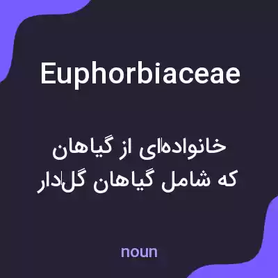 معنی euphorbiaceae به فارسی معنی euphorbiaceae به فارسی