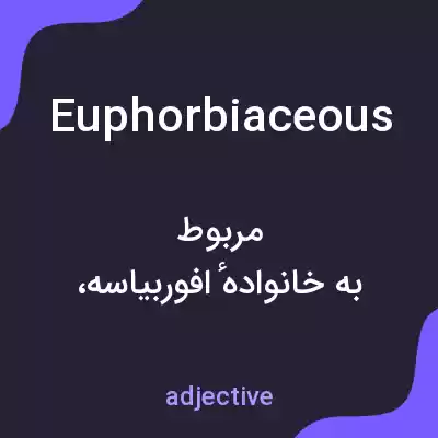 معنی euphorbiaceous به فارسی معنی euphorbiaceous به فارسی