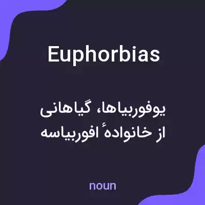 معنی euphorbias به فارسی معنی euphorbias به فارسی