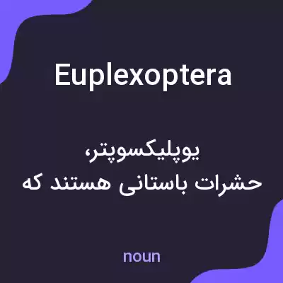 معنی euplexoptera به فارسی معنی euplexoptera به فارسی