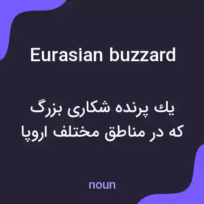 معنی eurasian buzzard به فارسی معنی eurasian buzzard به فارسی