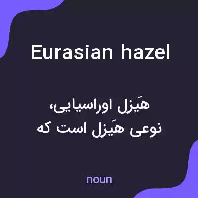 معنی eurasian hazel به فارسی معنی eurasian hazel به فارسی