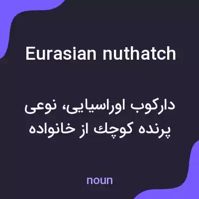معنی eurasian nuthatch به فارسی معنی eurasian nuthatch به فارسی