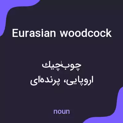 معنی eurasian woodcock به فارسی معنی eurasian woodcock به فارسی