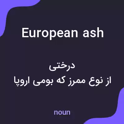 معنی european ash به فارسی