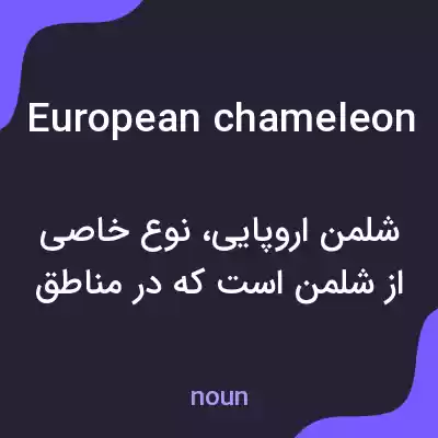 معنی european chameleon به فارسی معنی european chameleon به فارسی