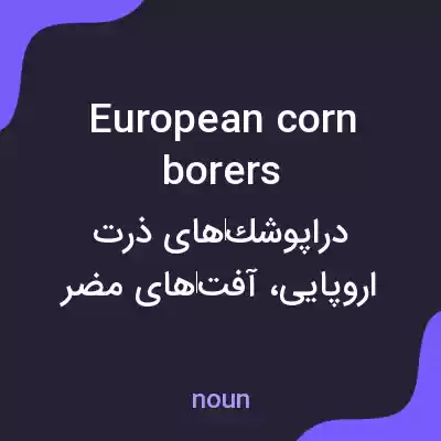 معنی european corn borers به فارسی معنی european corn borers به فارسی