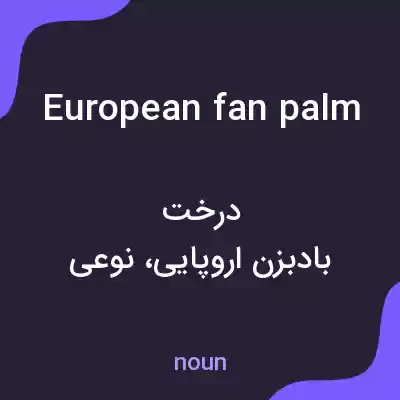 معنی european fan palm به فارسی معنی european fan palm به فارسی