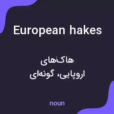 معنی european hakes به فارسی معنی european hakes به فارسی