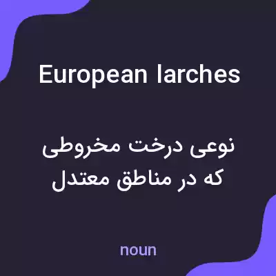 معنی european larches به فارسی معنی european larches به فارسی