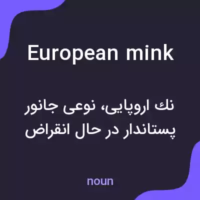 معنی european mink به فارسی معنی european mink به فارسی