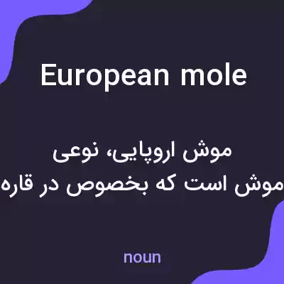 معنی european mole به فارسی معنی european mole به فارسی