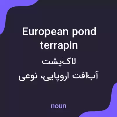 معنی european pond terrapin به فارسی معنی european pond terrapin به فارسی