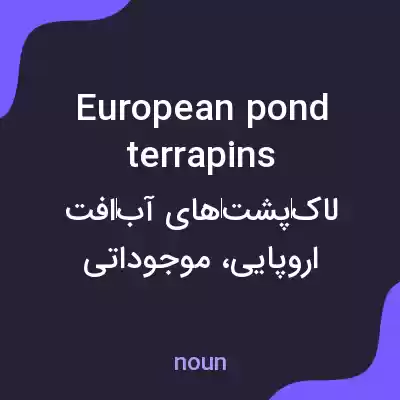 معنی european pond terrapins به فارسی معنی european pond terrapins به فارسی