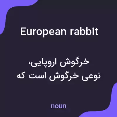 معنی european rabbit به فارسی
