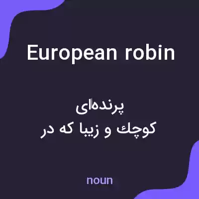 معنی european robin به فارسی معنی european robin به فارسی