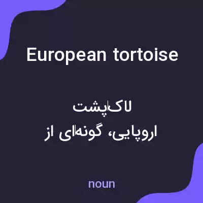 معنی european tortoise به فارسی معنی european tortoise به فارسی