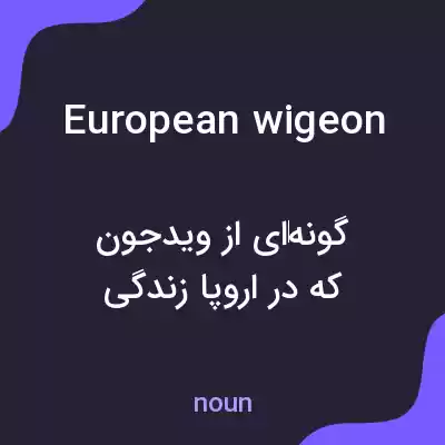 معنی european wigeon به فارسی معنی european wigeon به فارسی