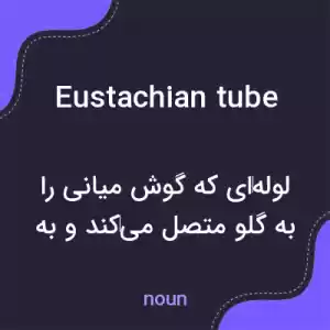 معنی eustachian tube به فارسی معنی eustachian tube به فارسی