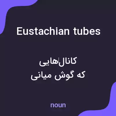 معنی eustachian tubes به فارسی معنی eustachian tubes به فارسی