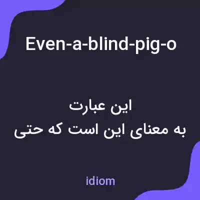 معنی even-a-blind-pig-occasionally-picks-up-an-acorn به فارسی معنی even-a-blind-pig-occasionally-picks-up-an-acorn به فارسی