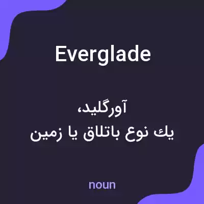 معنی everglade به فارسی معنی everglade به فارسی