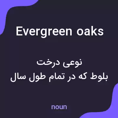 معنی evergreen oaks به فارسی معنی evergreen oaks به فارسی