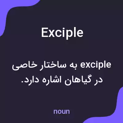 معنی exciple به فارسی معنی exciple به فارسی