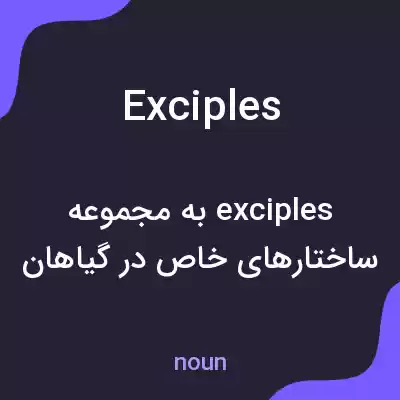 معنی exciples به فارسی معنی exciples به فارسی