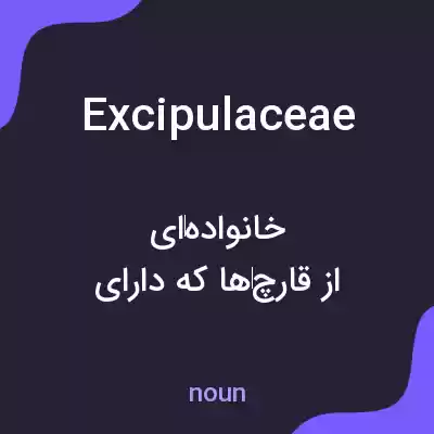 معنی excipulaceae به فارسی معنی excipulaceae به فارسی