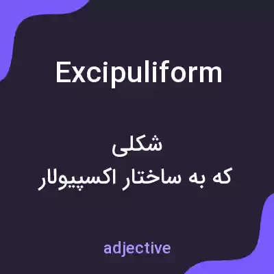 معنی excipuliform به فارسی معنی excipuliform به فارسی