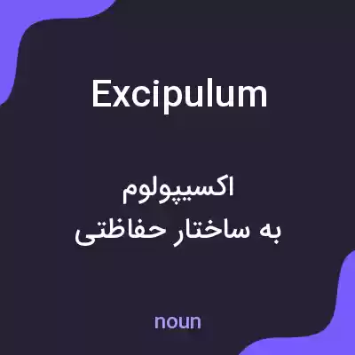 معنی excipulum به فارسی معنی excipulum به فارسی