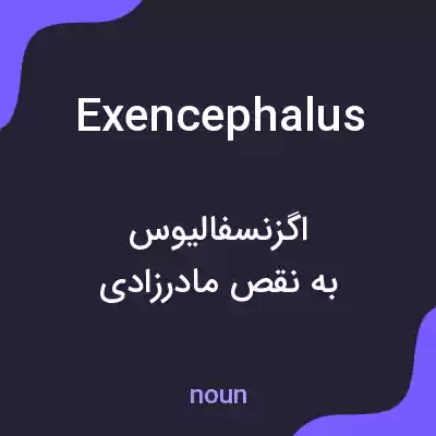 معنی exencephalus به فارسی معنی exencephalus به فارسی