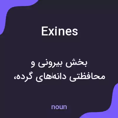 معنی exines به فارسی معنی exines به فارسی