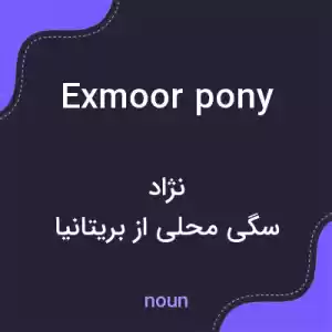 معنی exmoor pony به فارسی معنی exmoor pony به فارسی
