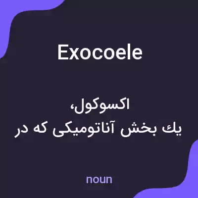 معنی exocoele به فارسی معنی exocoele به فارسی
