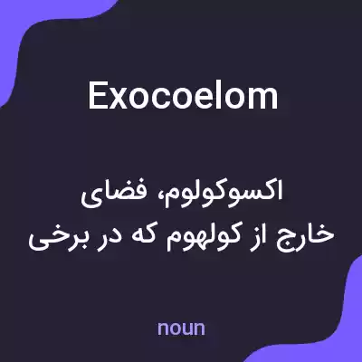 معنی exocoelom به فارسی معنی exocoelom به فارسی