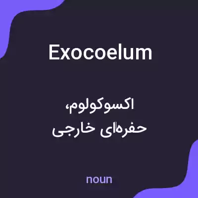 معنی exocoelum به فارسی معنی exocoelum به فارسی