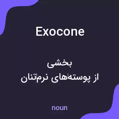 معنی exocone به فارسی معنی exocone به فارسی