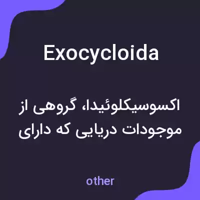 معنی exocycloida به فارسی معنی exocycloida به فارسی