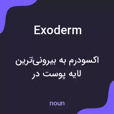 معنی exoderm به فارسی معنی exoderm به فارسی