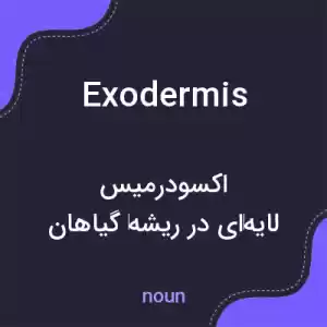 معنی exodermis به فارسی معنی exodermis به فارسی